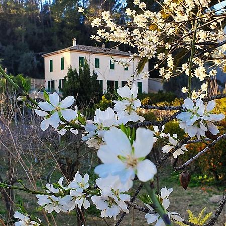 Agroturisme Finca Sa Maniga Bunyola Bagian luar foto