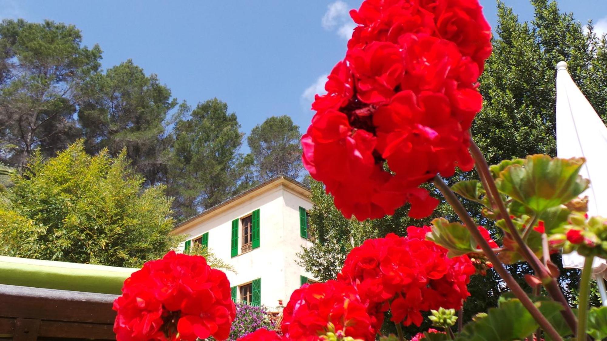 Agroturisme Finca Sa Maniga Bunyola Bagian luar foto